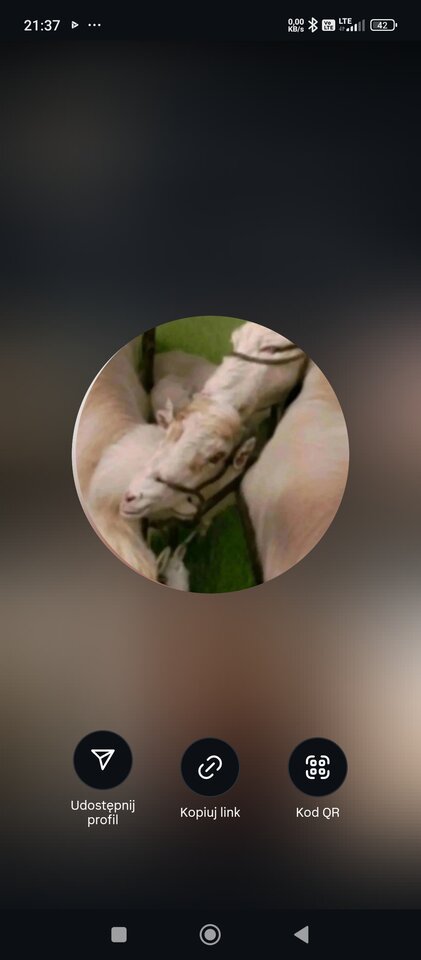 1000004791.jpg - Hjk18