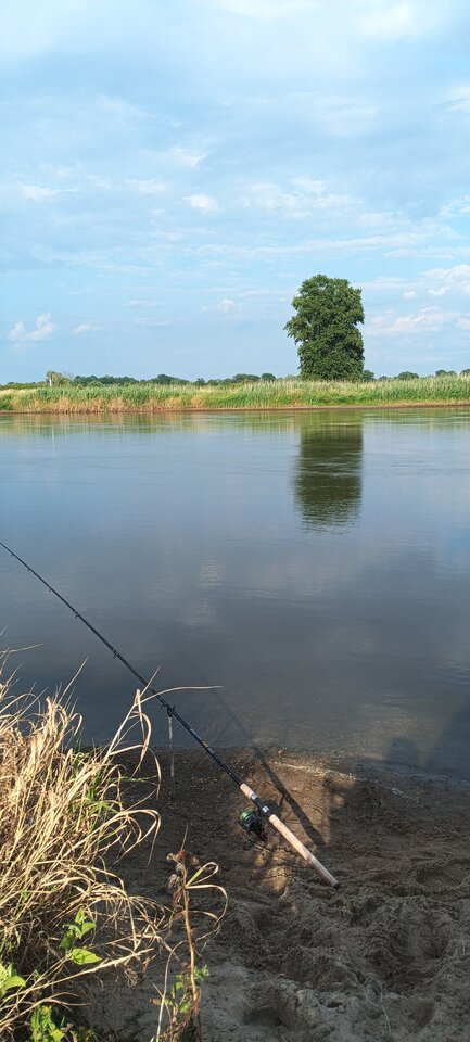 1000000604.jpg - maxsii990