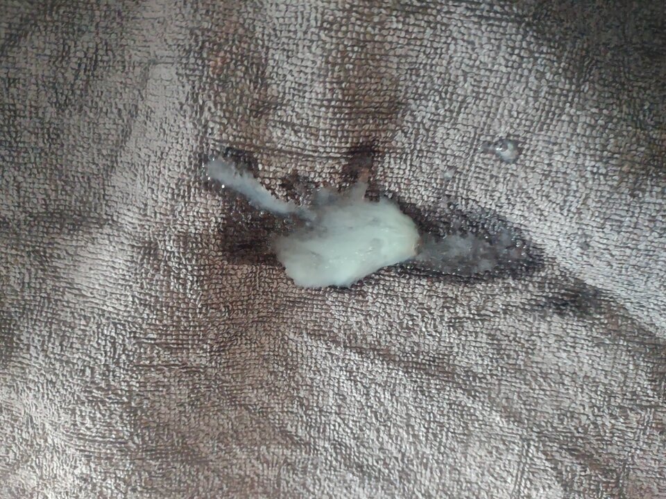 IMG_20250624_055625361.jpg - D199