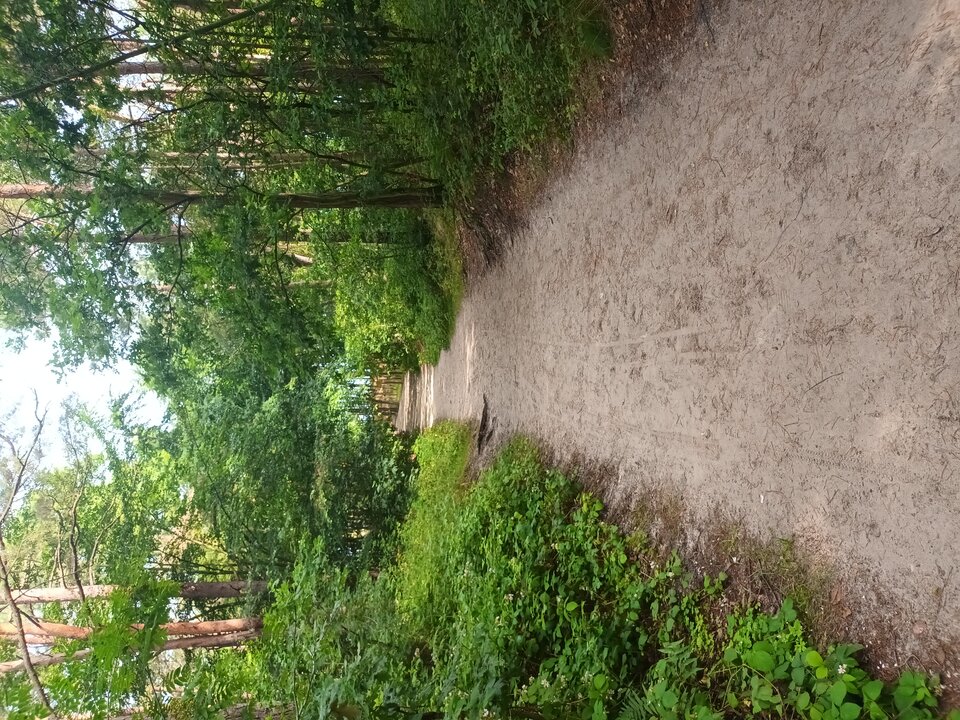 20250715_084537.jpg - Piotr45real