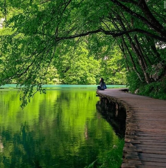 niezwyklaparastarsza