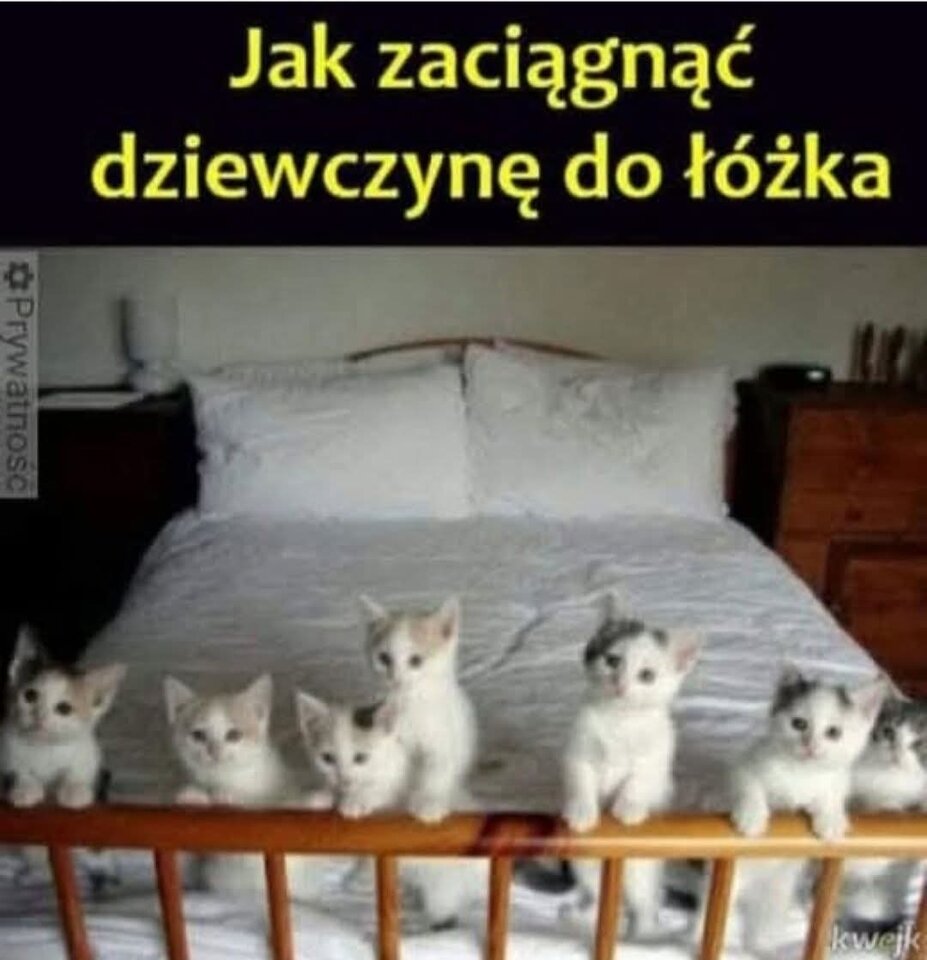 1000020238.jpg - Operator_odkurzacza