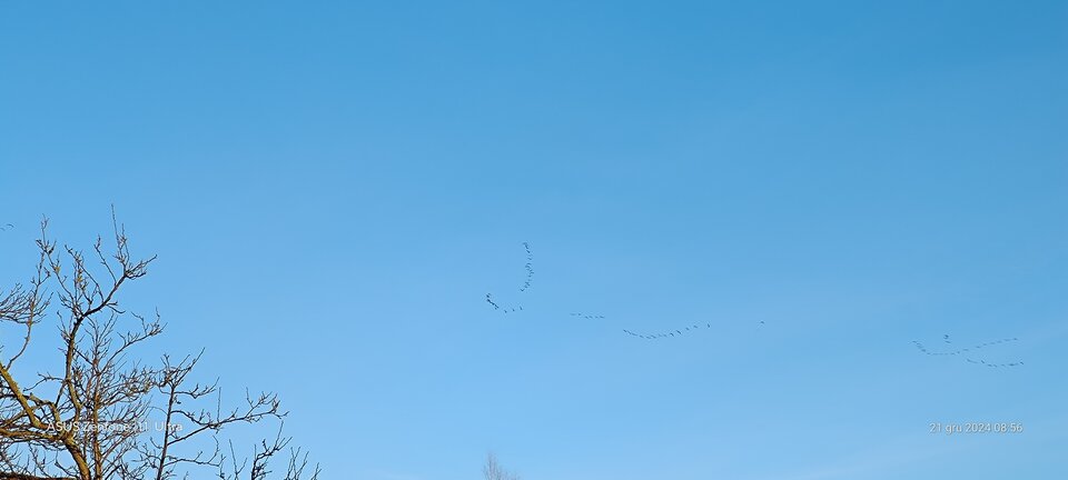 1000023373.jpg - Lubieto73