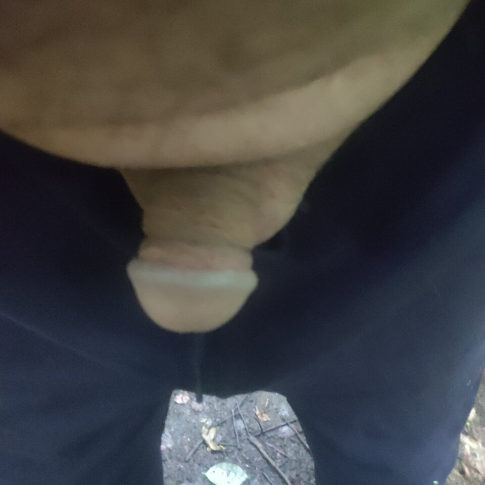 IMG_20250715_173845.jpg - honest71