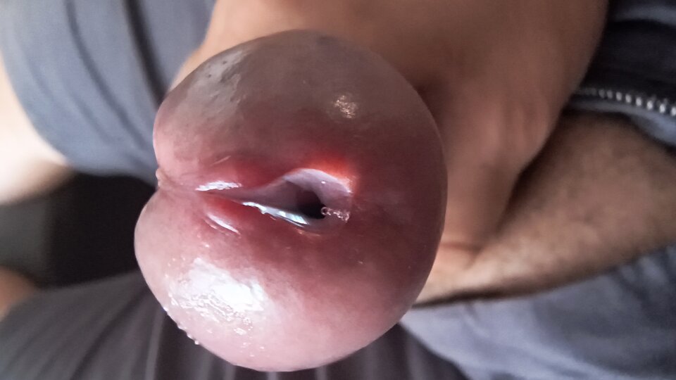 1000022720.jpg - Nowytubi