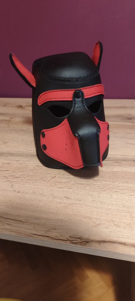 1000017681.jpg - Shrek821