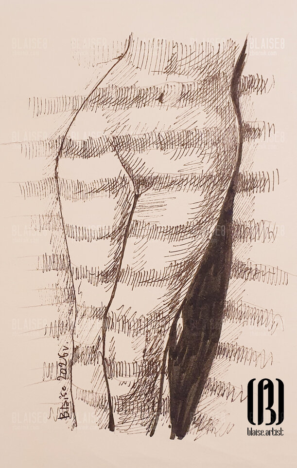 Art. No. 353 - blaise8