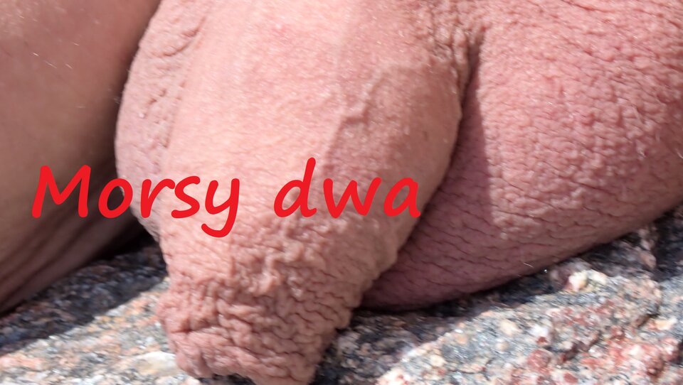 Plażowanie - toć to sezon ! - Morsy_dwa