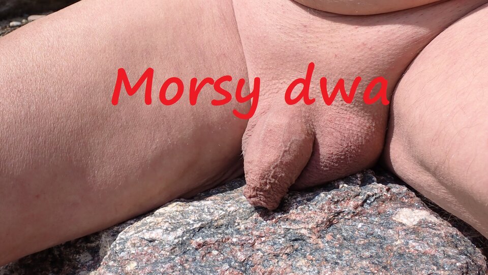 Plażowanie - toć to sezon ! - Morsy_dwa