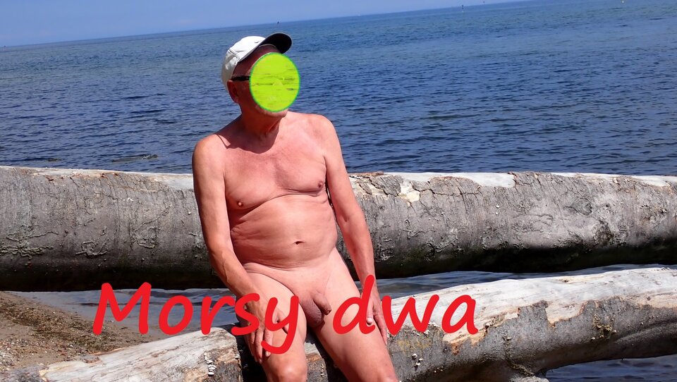 Plażowanie - toć to sezon ! - Morsy_dwa