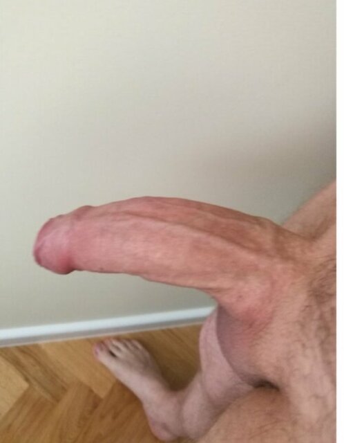 kut.jpg - MazowieckiOgier