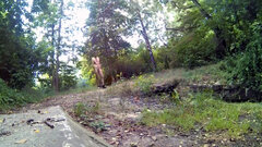 ROGOŹNIK - przy przepuście 20250715_1413.mp4_snapshot_00.22_[2