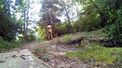ROGOŹNIK - przy przepuście 20250715_1413.mp4_snapshot_00.24_[2