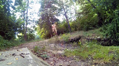 ROGOŹNIK - przy przepuście 20250715_1413.mp4_snapshot_00.16_[2