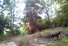 ROGOŹNIK - przy przepuście 20250715_1413.mp4_snapshot_00.21_[2