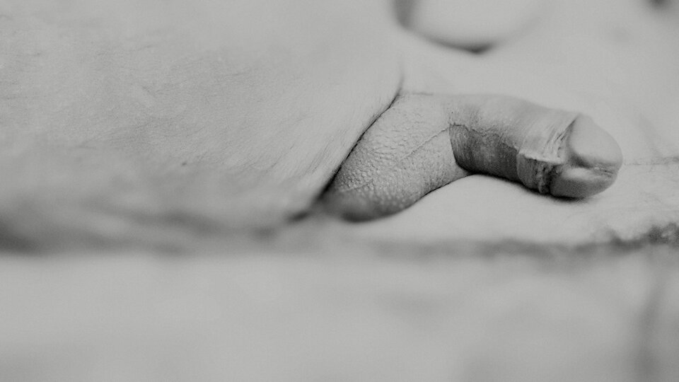 IMG_20250716_164338.jpg - _Zona_i_Maz_