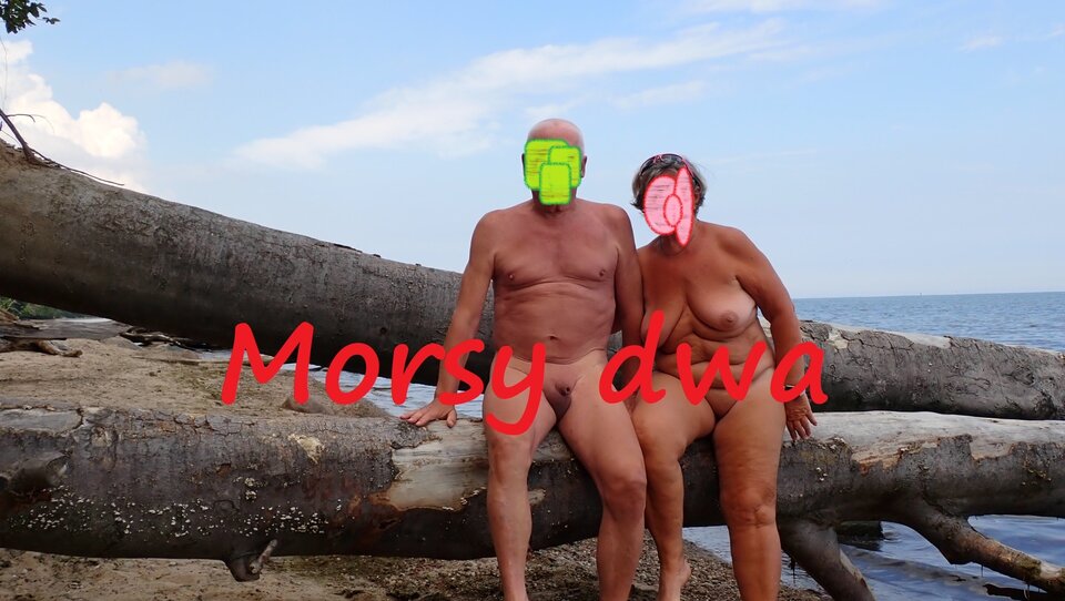 Plażowania dalszy ciąg. - Morsy_dwa