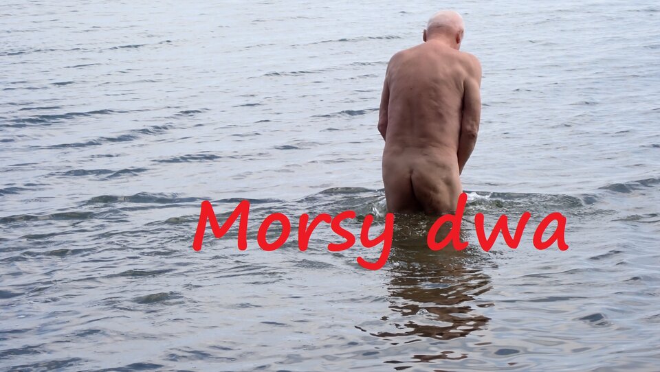 Plażowania dalszy ciąg. - Morsy_dwa