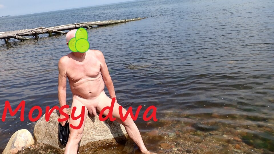 Plażowania dalszy ciąg. - Morsy_dwa