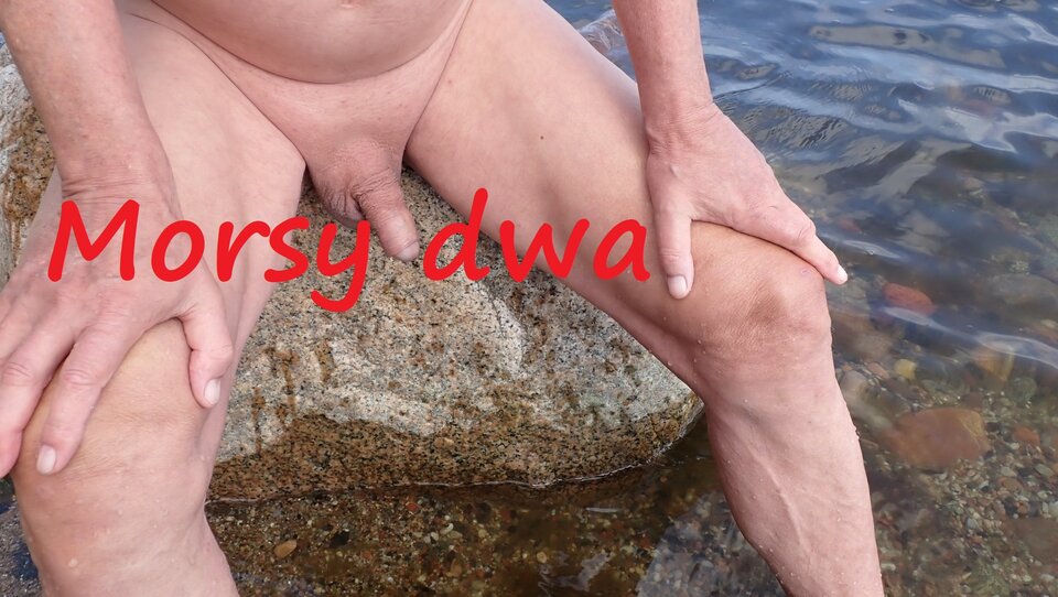 Plażowania dalszy ciąg. - Morsy_dwa