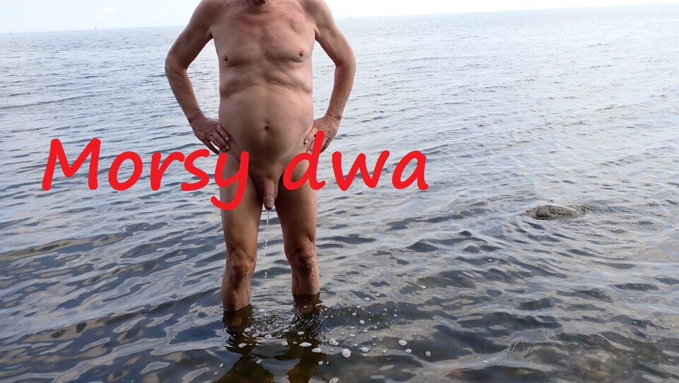 Plażowania dalszy ciąg. - Morsy_dwa