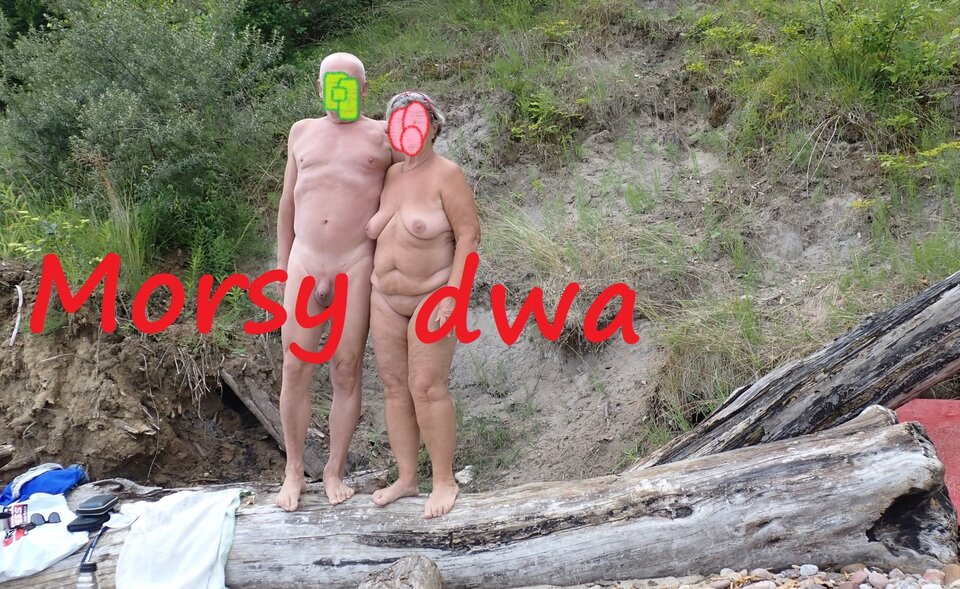 Plażowania dalszy ciąg. - Morsy_dwa