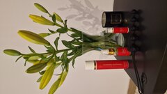 Idealne nawilżenie...