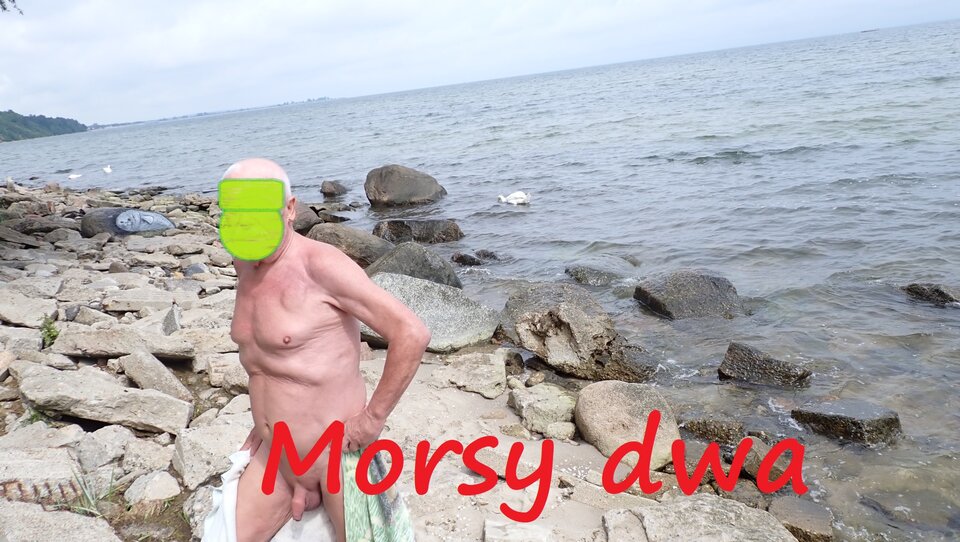 Plażowanie. - Morsy_dwa