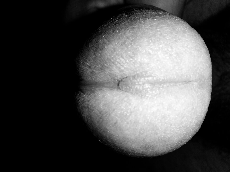 1000022621.jpg - atlantyd