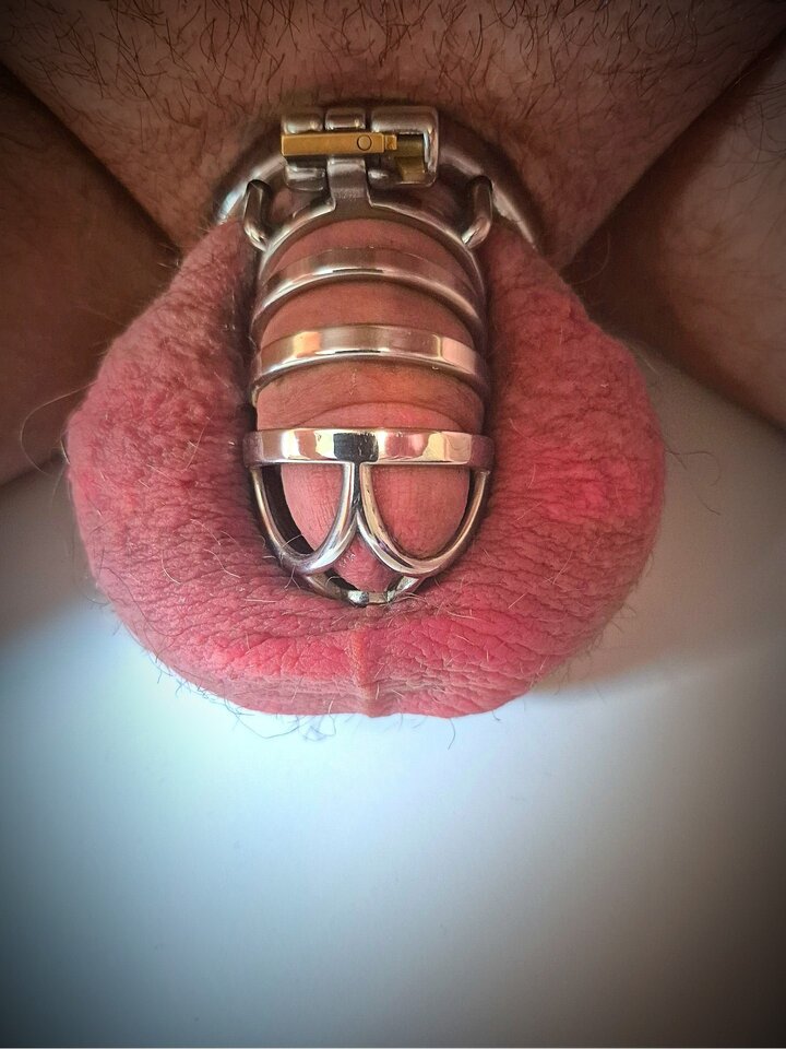 Marne 100 batów na jajka i mężuś i spuście nie myśli :) - szalonaparkakrk890