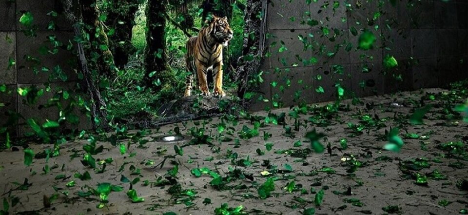 835ec0b19a5be38daead1a12be9b030a.jpg - MANTIS20