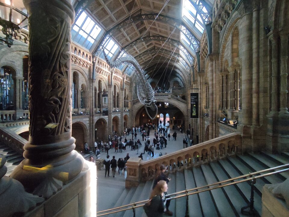 1000001948.jpg - mr_max_92