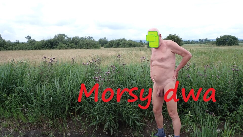 Dzisiejsze rowerowe jazdy. - Morsy_dwa