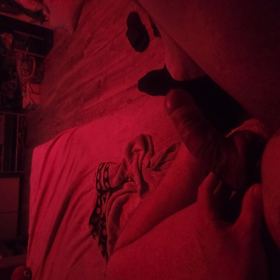 1752789283639144104930146334598.jpg - Ostrokry