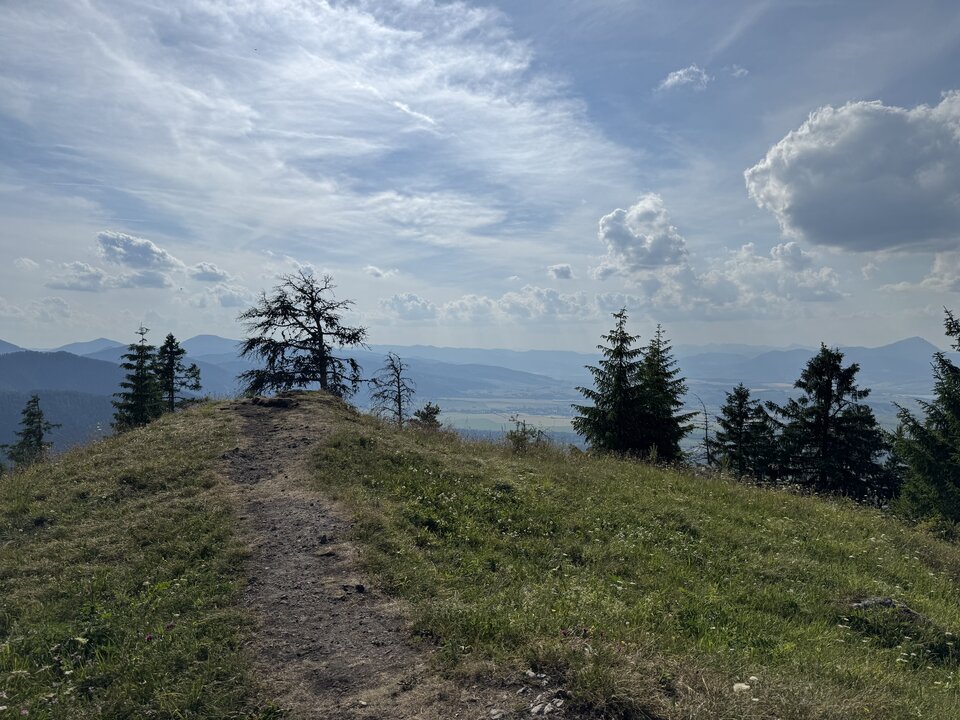 IMG_3143.jpeg - Marcin83real