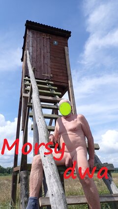 Znowu w drodze. W morzu - sinice?!?