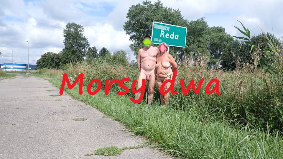 Znowu w drodze. W morzu - sinice?!? - Morsy_dwa