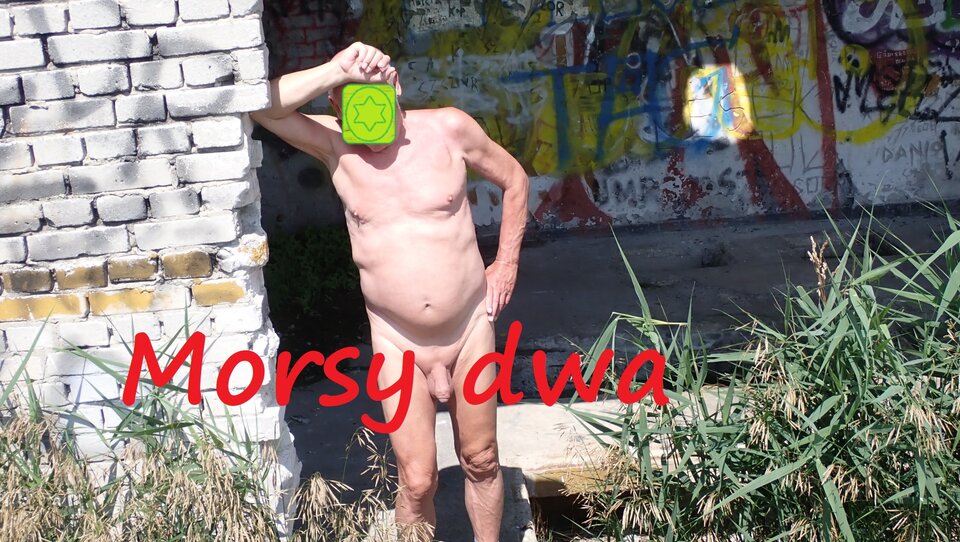 Znowu w drodze. W morzu - sinice?!? - Morsy_dwa