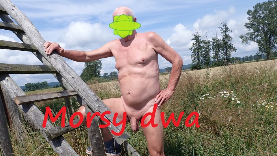 Znowu w drodze. W morzu - sinice?!? - Morsy_dwa