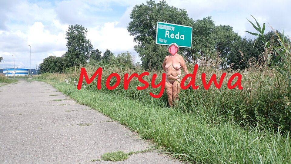 Znowu w drodze. W morzu - sinice?!? - Morsy_dwa