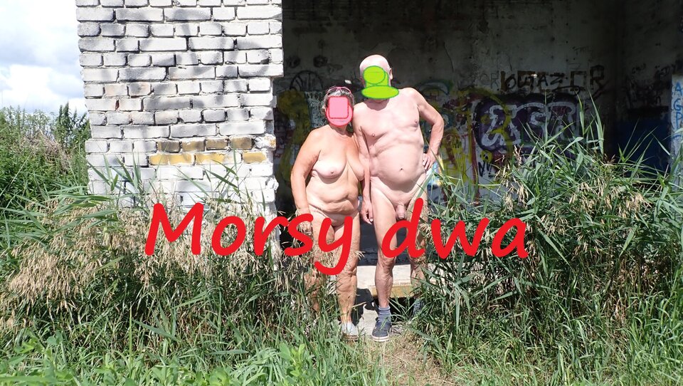 Znowu w drodze. W morzu - sinice?!? - Morsy_dwa