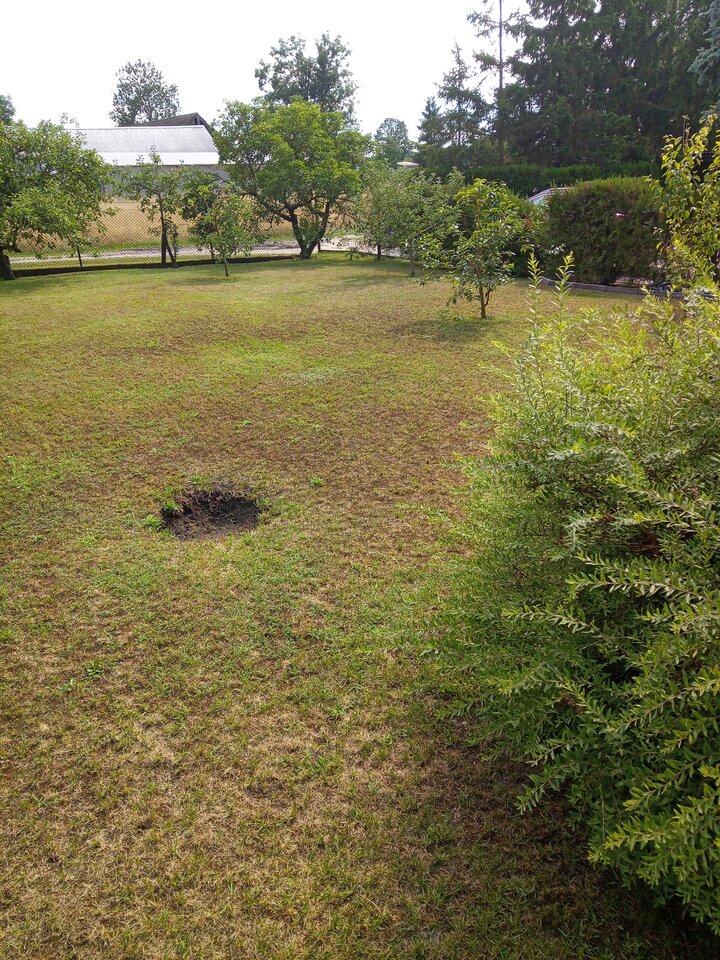 IMG_20250718_160350_9.jpg - Poloczek1