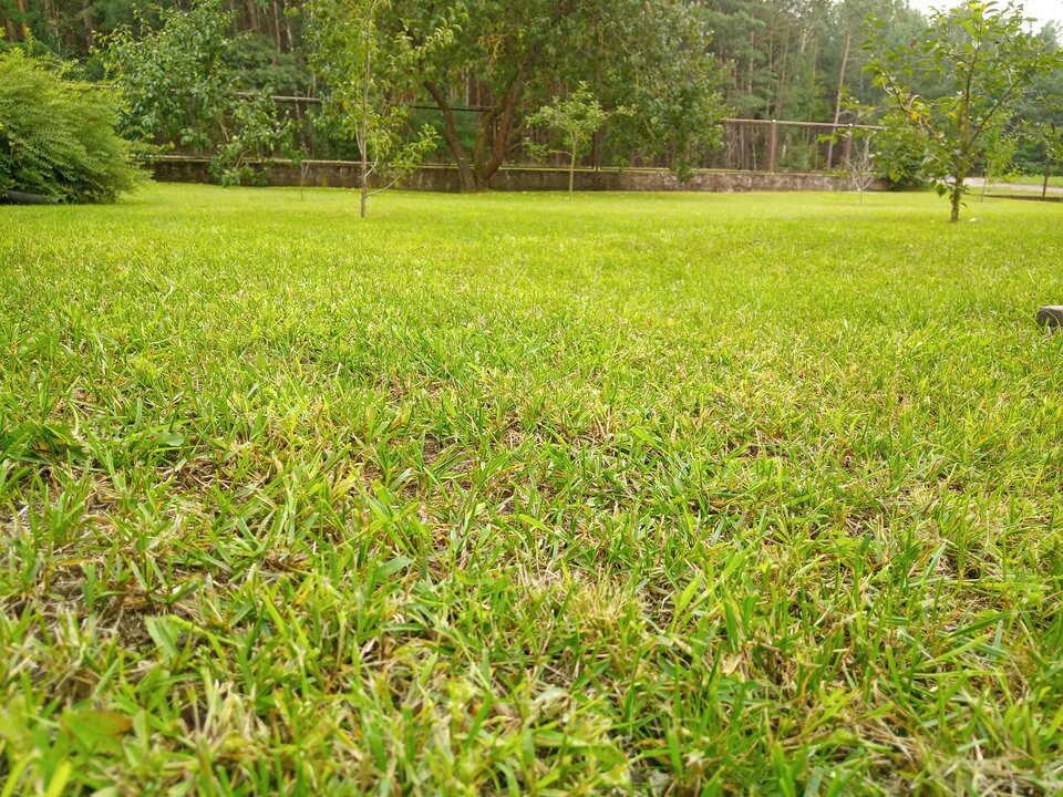 IMG_20240727_130831_2.jpg - Poloczek1