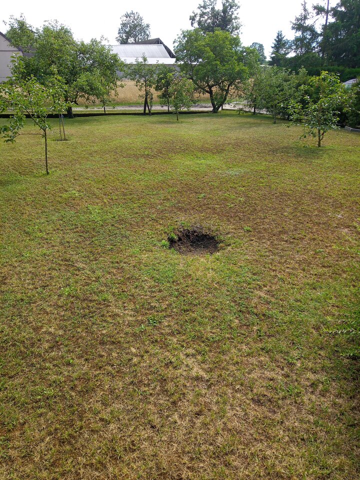 IMG_20250718_160344_5.jpg - Poloczek1