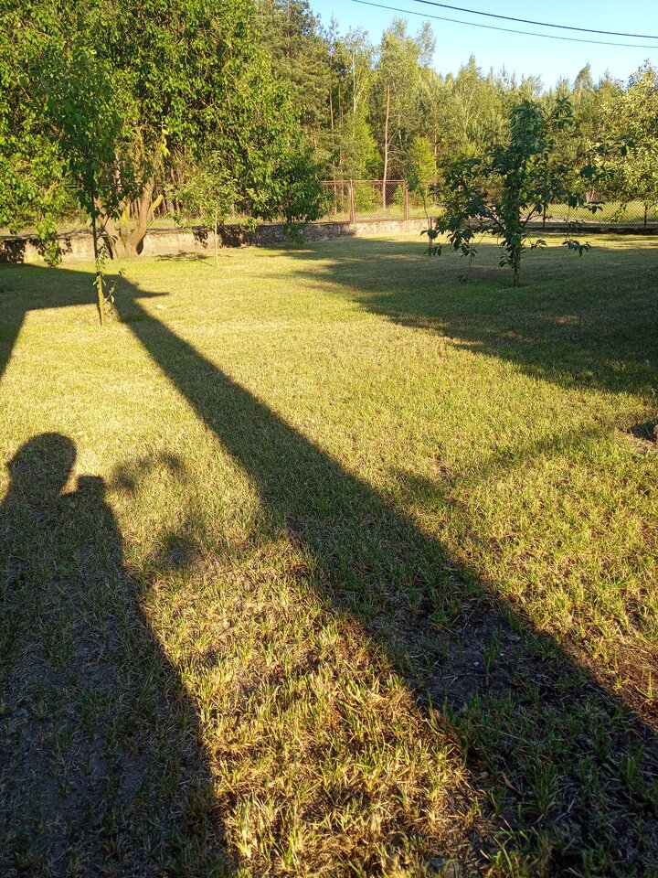 IMG_20250620_190320_5.jpg - Poloczek1