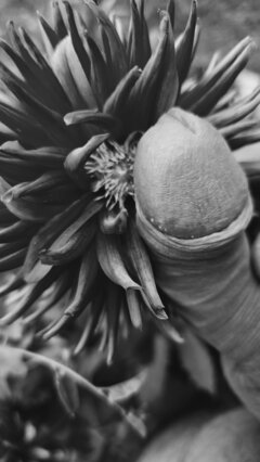 Kwiatki dla □□□□□a