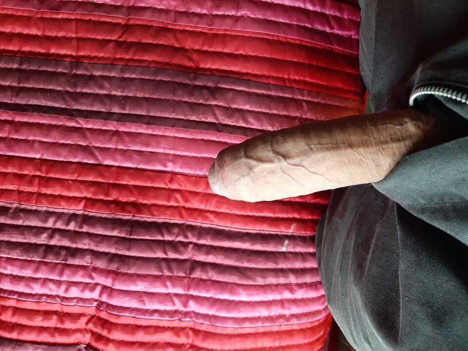 2025-07-1819.27.323856315829126671892.jpg - HairyZed79