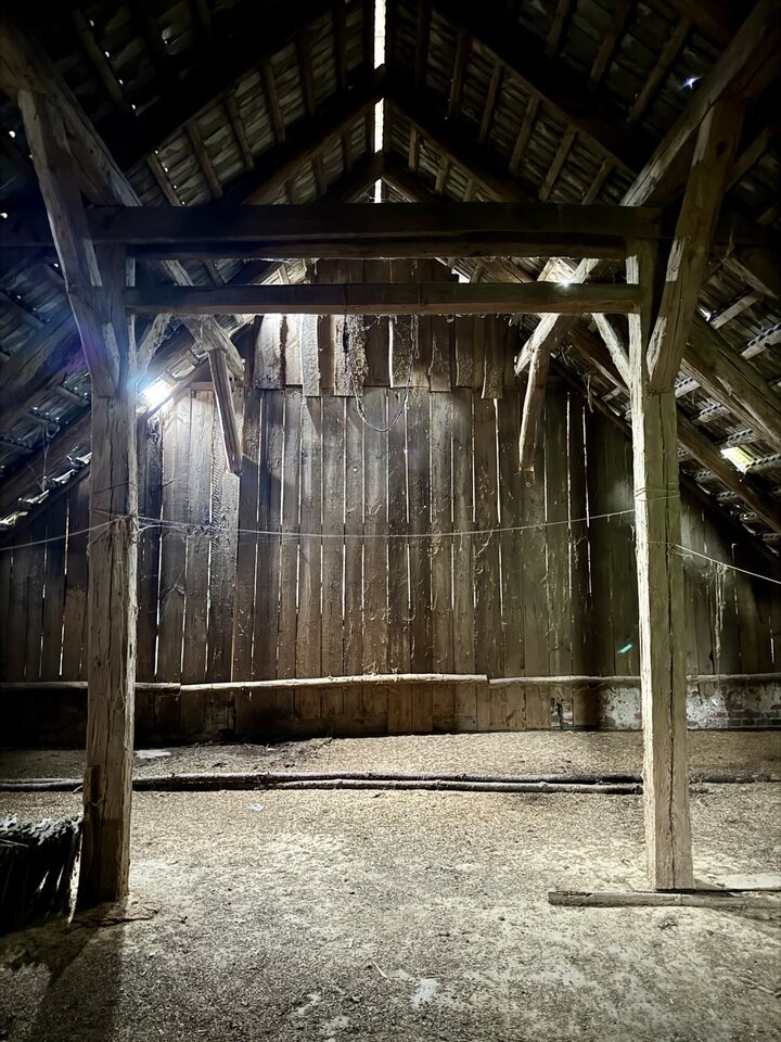 signal-2025-07-08-23-38-50-935.jpg - Tadeusz1984PanTadeusz