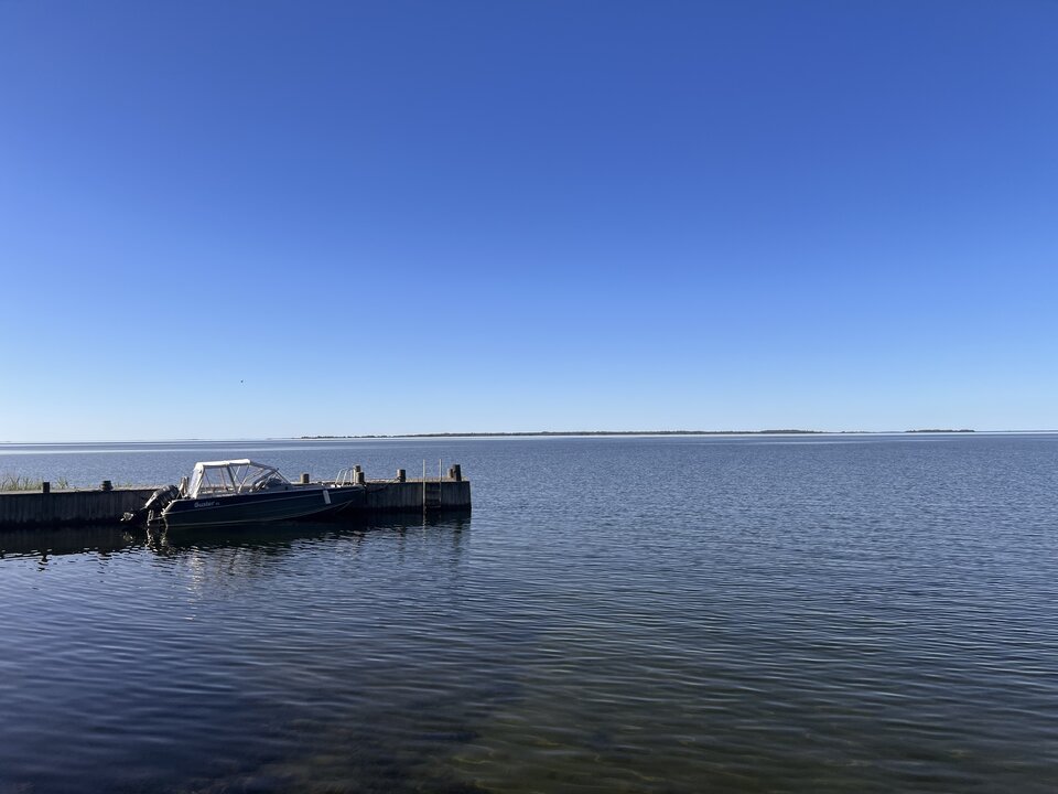 IMG_7939.jpeg - zapeter