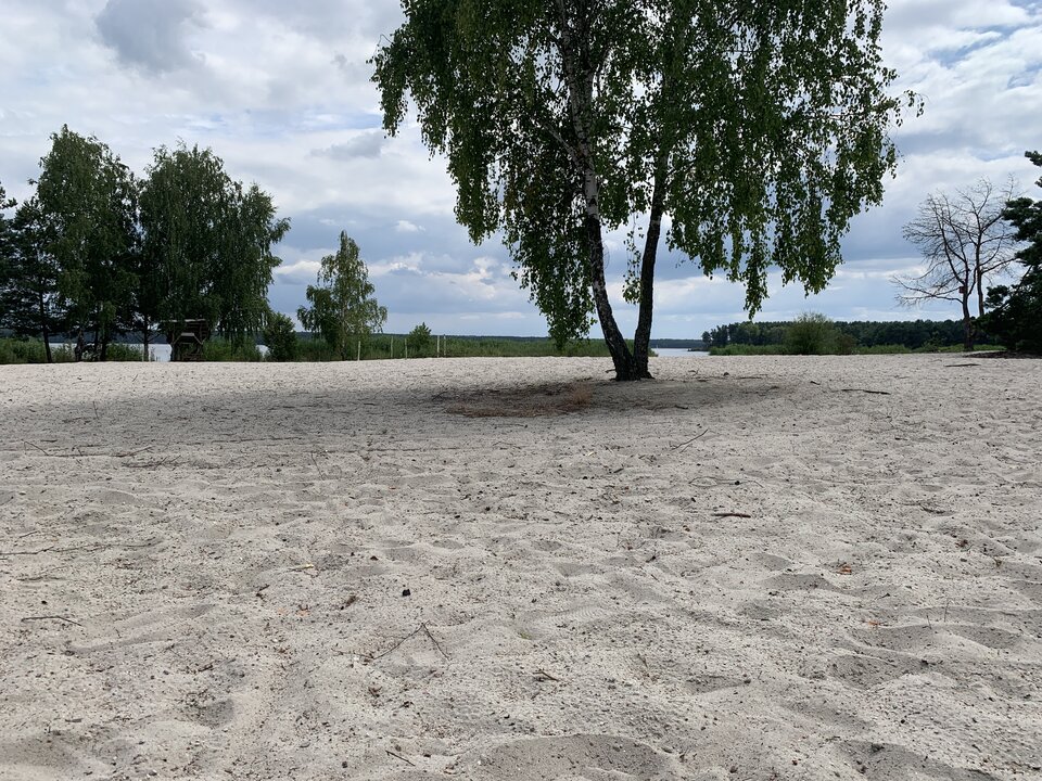 IMG_4368.jpeg - Razemonionalbn